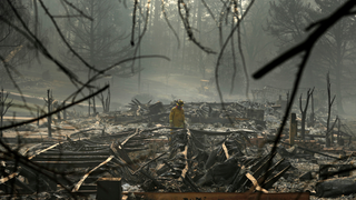 The Camp Fire Death Count Just Dropped by 3 Due to New DNA Evidence<em></em>